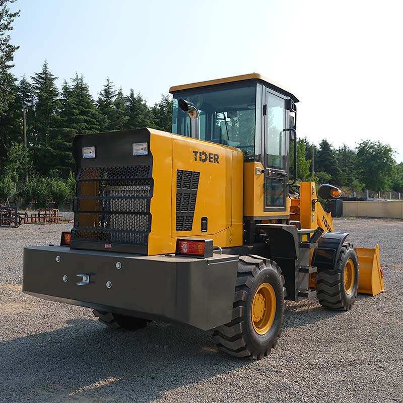 Small Wheel Loader