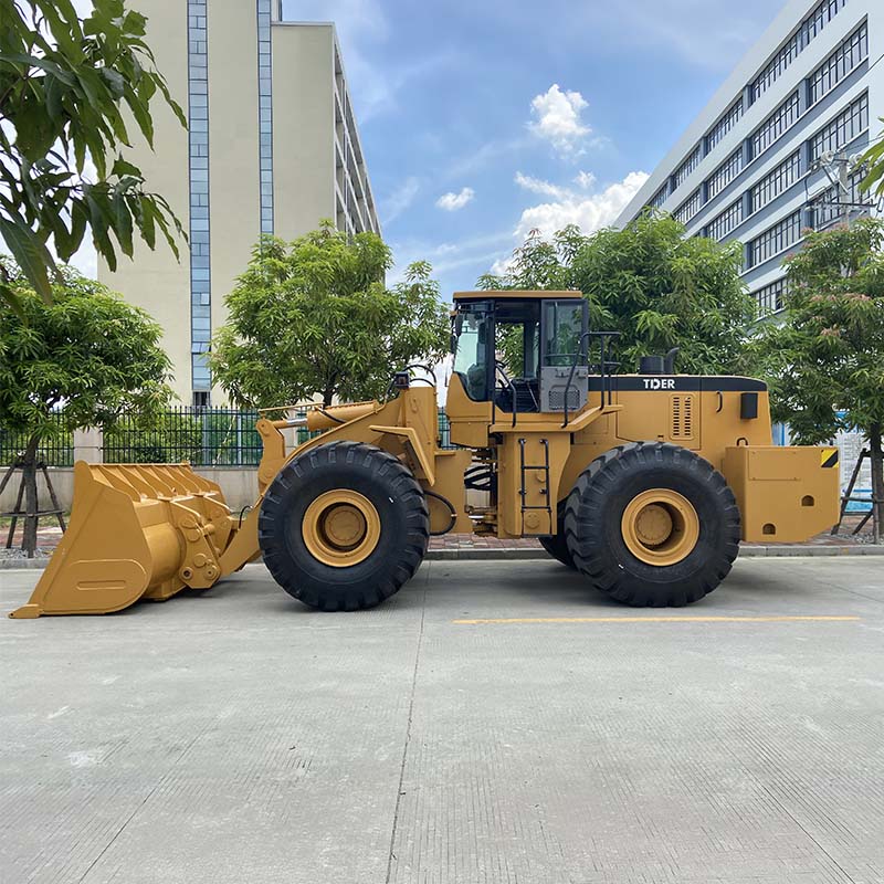 Large Wheel Loader