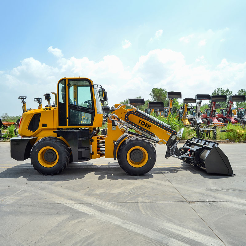 Small Telescopic Loader