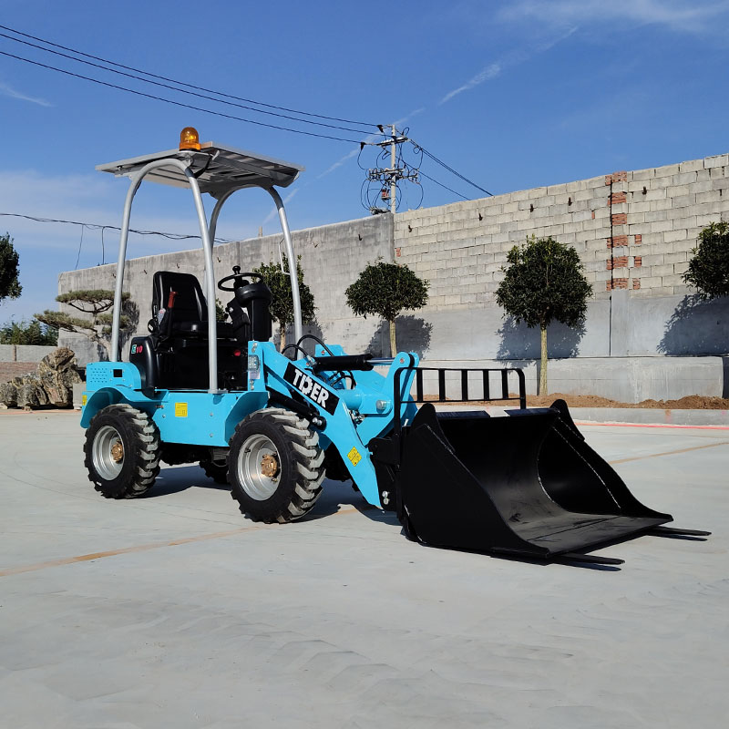 China Electric Loader